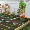 VEVOR Tomato Cages, 11.8\" x 11.8\" x 46.1\", 10 Packs Square Plant Support Cages, Silver PVC-Coated Steel Tomato Towers for Climbing Vegetables, Plants, Flowers, Fruits