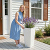 VEVOR Tall Planters Set of 2, 26 Inch Large Outdoor Taper Planters for Outdoor Indoor Plants, Front Porch Plastic Modern Flower Pots with Casters, Inner Pot & Drainage Holes for Patio, Garden, White