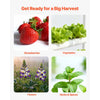 VEVOR Hydroponics Growing System Kit, 3-Tier 90 Sites UPVC Pipe Hydroponic Grow Kit with Timed Irrigation, Sun & Light Blocking Pipes, Indoor Home Garden Vegetable Planting Grow Kits for Fruit Herb
