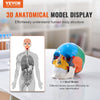 VEVOR Human Skull Model, 3 Parts Human Skull Anatomy, Life-Size Painted Anatomy Skull Model, PVC Anatomical Skull, Detachable Learning Skull Model, for Professional Teaching, Researching and Learning