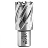 VEVOR Annular Cutter Set, 4 pcs Weldon Shank Mag Drill Bits Kit, 1" Cutting Depth, 1" Cutting Diameter, HSS, 2 Drill Bits with 2 Pilot Pins and Plastic Cases, for Magnetic Drills, Steel, Aluminum