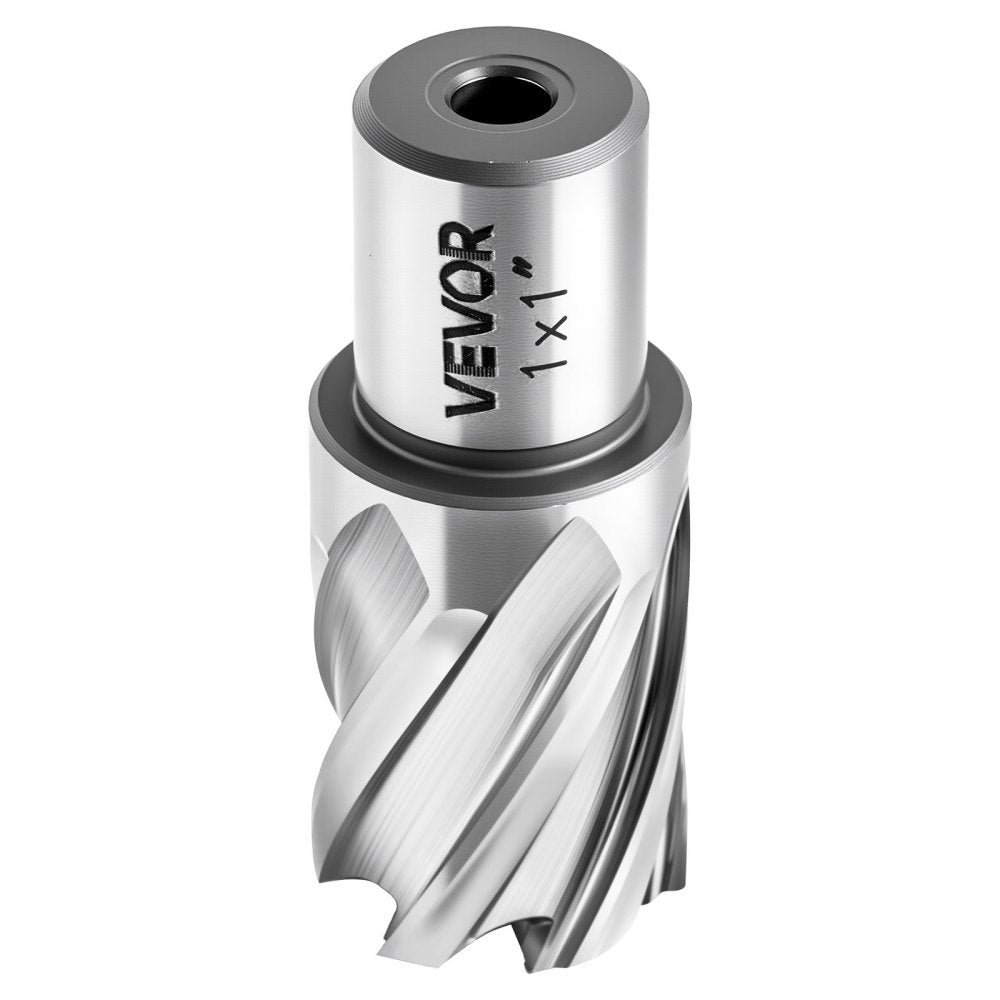 VEVOR Annular Cutter Set, 4 pcs Weldon Shank Mag Drill Bits Kit, 1" Cutting Depth, 1" Cutting Diameter, HSS, 2 Drill Bits with 2 Pilot Pins and Plastic Cases, for Magnetic Drills, Steel, Aluminum