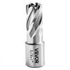 VEVOR Annular Cutter Set, 5 pcs Weldon Shank Mag Drill Bits Kit, 1" Cutting Depth, 1/2", 5/8", 1" Cutting Diameter, HSS, 3 Drill Bits with 2 Pilot Pins and 3 Plastic Cases, for Magnetic Drills, Steel