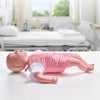 VEVOR Infant CPR Training Manikin, Heimlich Maneuver and Cardiopulmonary Resuscitation (CPR) Practice, Professional Infant Airway Obstruction Training Manikin, Baby Infarction Model for Education