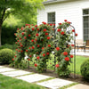 VEVOR Garden Trellis, 60 x 15 inch Rose Trellis, 4 Packs Garden Flower Rose Trellises with Powder-Coated Finish & Convenient Locking Design, Plant Support Trellises for Flowers, Vegetables, Roses