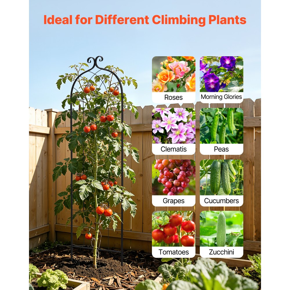 VEVOR Garden Trellis, 71 x 20 inch Rose Trellis, 2 Packs Garden Flower Rose Trellises with Powder-Coated Finish & Convenient Locking Design, Plant Support Trellises for Flowers, Vegetables, Roses