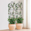 VEVOR Garden Trellis for Climbing Plants, 71 x 20 in, 4 Packs Rustproof Metal Garden Flower Trellis, Outdoor Climbing Rose Trellis Cucumbers Support, Decorative Clematis Trellis for Courtyards Lawns