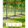 VEVOR Tree Watering Rings, 4 Packs 10 Gallons Self-Watering Tree Bags, Slow Release Tree Irrigation Bags up to 30 Days, Heavy Duty Automatic Drip System for for Planting Gardening Trees and Shrub