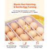 VEVOR 24 Egg Incubator, Automatic Egg Turner with LED Candler, Temperature & Humidity Control, 360° View Clear Window, Auto Water Refill, Poultry Eggs Incubators for Hatching Chicks Ducks Goose Quail