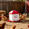 VEVOR 5 Gallon Automatic Chicken Waterer, 6 Water Ports, Automatic-Fill Water Cup, Automatic Gravity Waterer with Handle & Sealed Rubber Ring, Waterproof PP Material, No Waste Design, for Chicken