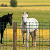 VEVOR Farm Fence, 39 x 787 in, 4 x 4 in Mesh 2.1mm Galvanized Steel Wire Fencing for Cattle, Hog & Sheep, Heavy Duty Vinyl Coated Livestock Fence for Animal Enclosures, Cage Wire, Garden Fences, Green
