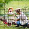 VEVOR Garden Fence, 36.6in(H) x29.5in(L) Animal Barrier Fence, Underground Decorative Garden Fencing with 2.5 Inch Spike Spacing, Metal Dog Fence for the Yard and Outdoor Patio, 5 Pack
