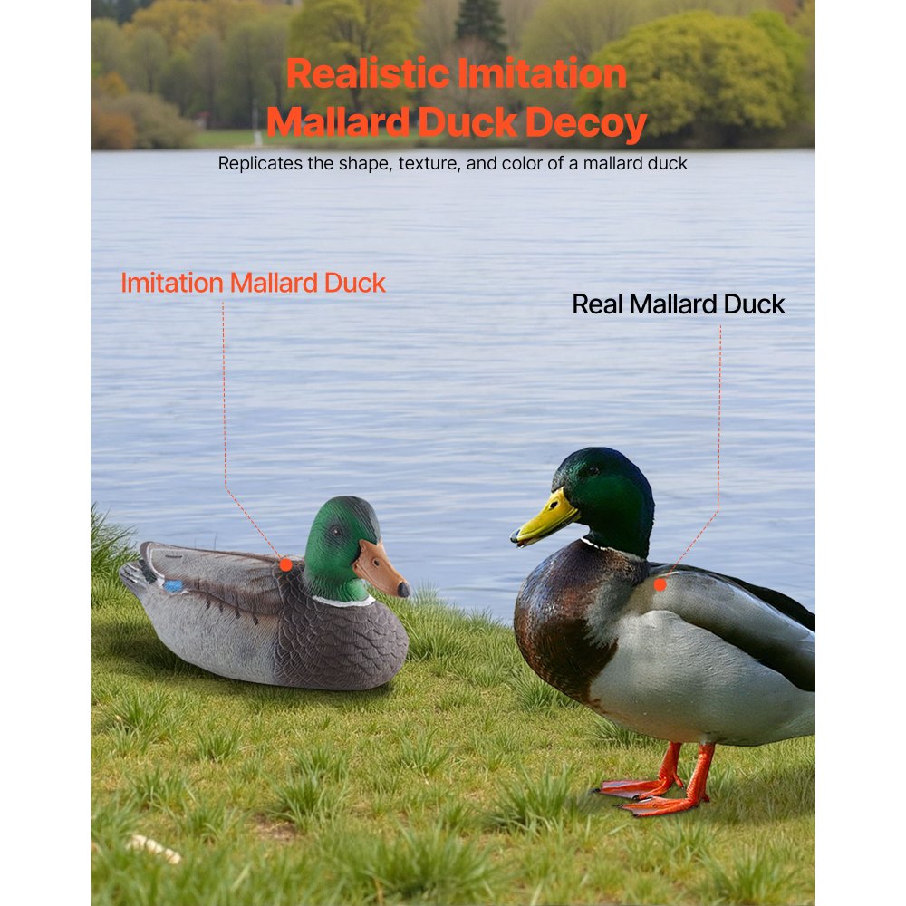 VEVOR Duck Decoys, Realistic Floating Duck Decoys, Weight Forward Swim, Plastic Duck Hunting Decoy Outdoor for Hunting, for Pool, Pond, and Lake, Garden Yard Decoration, Easy to Carry and Use, 6-Pack