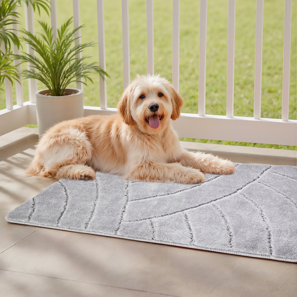 VEVOR Door Mat, 35.83 x 24.02 Inch, Front Door Mat Outside Entrance with Non-slip TPR Backing, Dirt-Resistant & Absorbent, Easy to Clean, Low-Profile Doormat for for Entryway, Patio, Porch, Grey