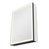 VEVOR Lighted Medicine Cabinet with Mirror, 20 x 28 in Recessed or Wall Mount, 3 Color Dimmable LED Bathroom Medicine Cabinet with Bottom Lighting, Adjustable Shelve Storage, Memory Defog Function