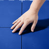 VEVOR Dryland Tiles for Hockey Floor Mat, 12 x 12 in 8 Pcs Interlocking Versatile Training Surface, Dance Floor Tiles, Hockey Training Equipment Board for Shooting (Blue, 8 sq. ft/Box)