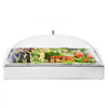 VEVOR Countertop Food Serving Display Container, 1 x 1 Pan Stainless Steel Food Serving Tray, Buffet Condiment Dispenser Display Rack with Clear Arc Lid & 3 Ice Trays, for Restaurant, Hotel, Party