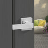 VEVOR Front Door Handle, Square Entry Handle Set with Lever, No Lock, Adjustable Hole Space, Zinc Alloy Die-Casting, Reversible for Right and Left Handed Entrance and Front Doors, Satin Nickel