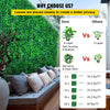 VEVOR Artificial Boxwood Panels, 20 PCS 20\"x20\" Boxwood Hedge Wall Panels, PE Artificial Grass Backdrop Wall 1.6\", Privacy Hedge Screen for Decoration of Outdoor, Indoor, Garden, Fence, and Backyar