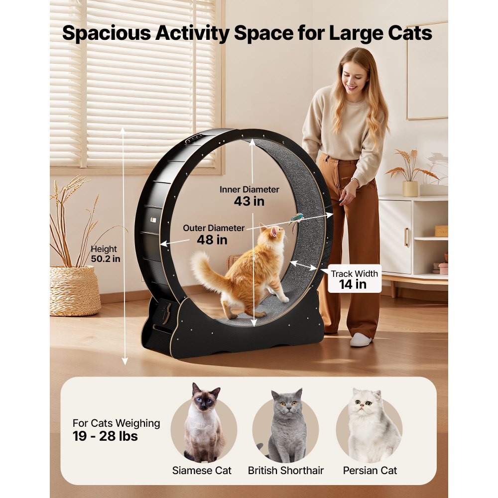 VEVOR Cat Exercise Wheel, 48 in Wooden Cat Running Wheel for Indoor Cats up to 28 lbs, Cats Treadmill with Carpeted Runway & Locking Mechanism, Quiet Kitten Sport Toys for Pets Fitness & Health, Black