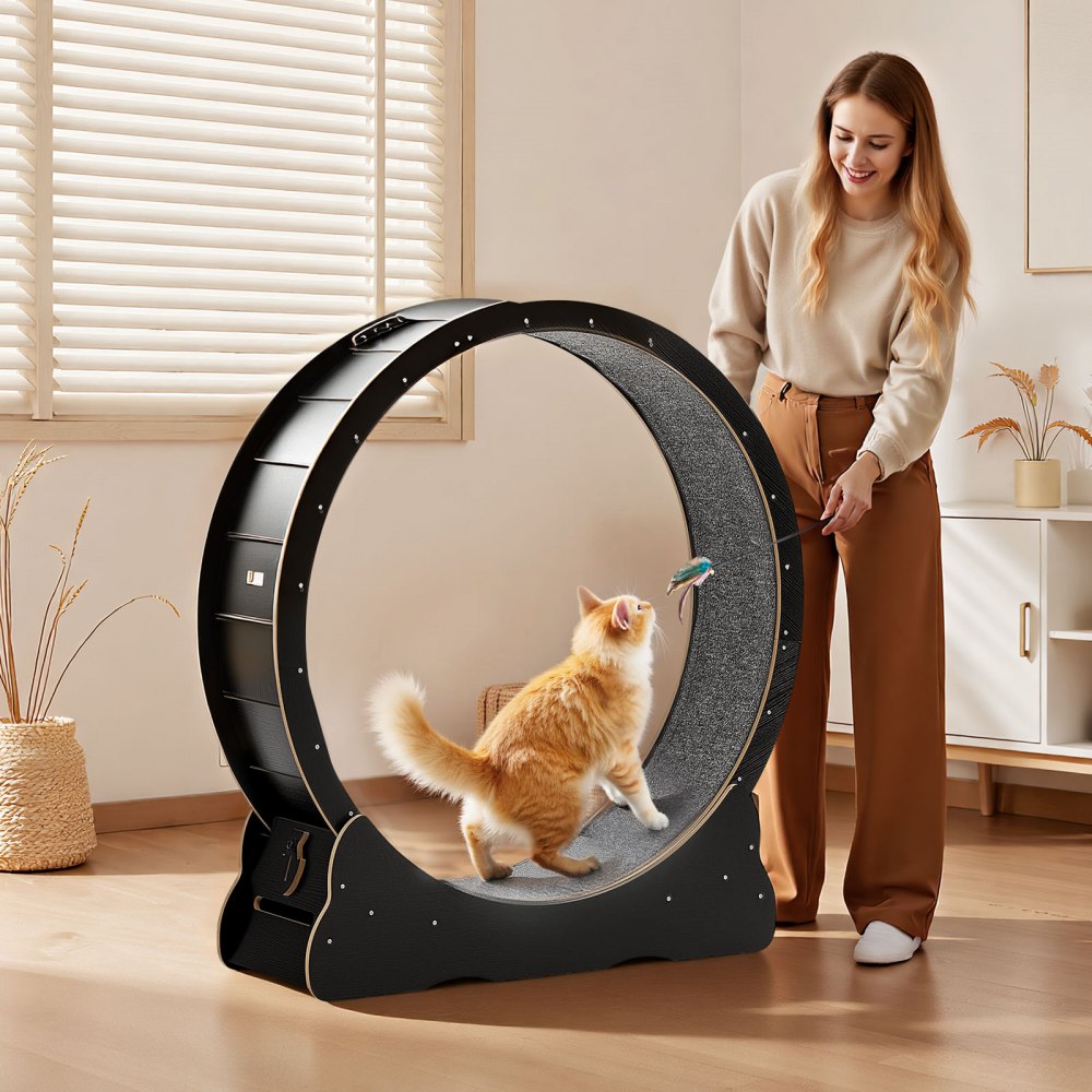 VEVOR Cat Exercise Wheel, 48 in Wooden Cat Running Wheel for Indoor Cats up to 28 lbs, Cats Treadmill with Carpeted Runway & Locking Mechanism, Quiet Kitten Sport Toys for Pets Fitness & Health, Black