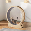 VEVOR Wooden Cat Exercise Wheel, 52" Large Cat Treadmill Wheel for Indoor Cats, Cat Running Wheel with Detachable Carpet & Cat Teaser for Running/Walking/Training, Suitable for Most Cats