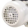 VEVOR DEF Transfer Pump, 10.5 GPM, Diaphragm Irrigation Self Priming Electric Water Pump for Diesel Exhaust Fluid Automotive Urea Oil, 110V, 375W, 26.25 ft Lift, for Liquid Transportation Refueling