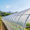 VEVOR Greenhouse Plastic Sheeting 24 x 100 ft 5 Mil Clear Polyethylene Film, for Farms Agriculture Garden Outdoor Plant, Water Sun Frost Wind Dust Resistant, Heavy Duty Thick Winter Hoop House Cover