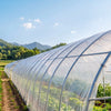 VEVOR Greenhouse Plastic Sheeting 12 x 100 ft 6 Mil Clear Polyethylene Film, for Farms Agriculture Garden Outdoor Plant, Water Sun Frost Wind Dust Resistant, Heavy Duty Thick Winter Hoop House Cover