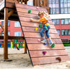 VEVOR 32 Rock Climbing Holds, Multi-Size and Multi-Colored Climbing Rocks for Kids and Adults, Rock Wall Holds with Mounting Hardware, Climbing Wall Grips for Indoor and Outdoor Playground Play Set