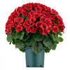 VEVOR Artificial Potted Geraniums 20 in 2-Pack Fake Flower Plants Decor Red, for Porch, Patio, Entryway, & Home Decor, Indoor & Outdoor Use, Silk and PE Blooms in Pots, Ready to Display Faux Plants