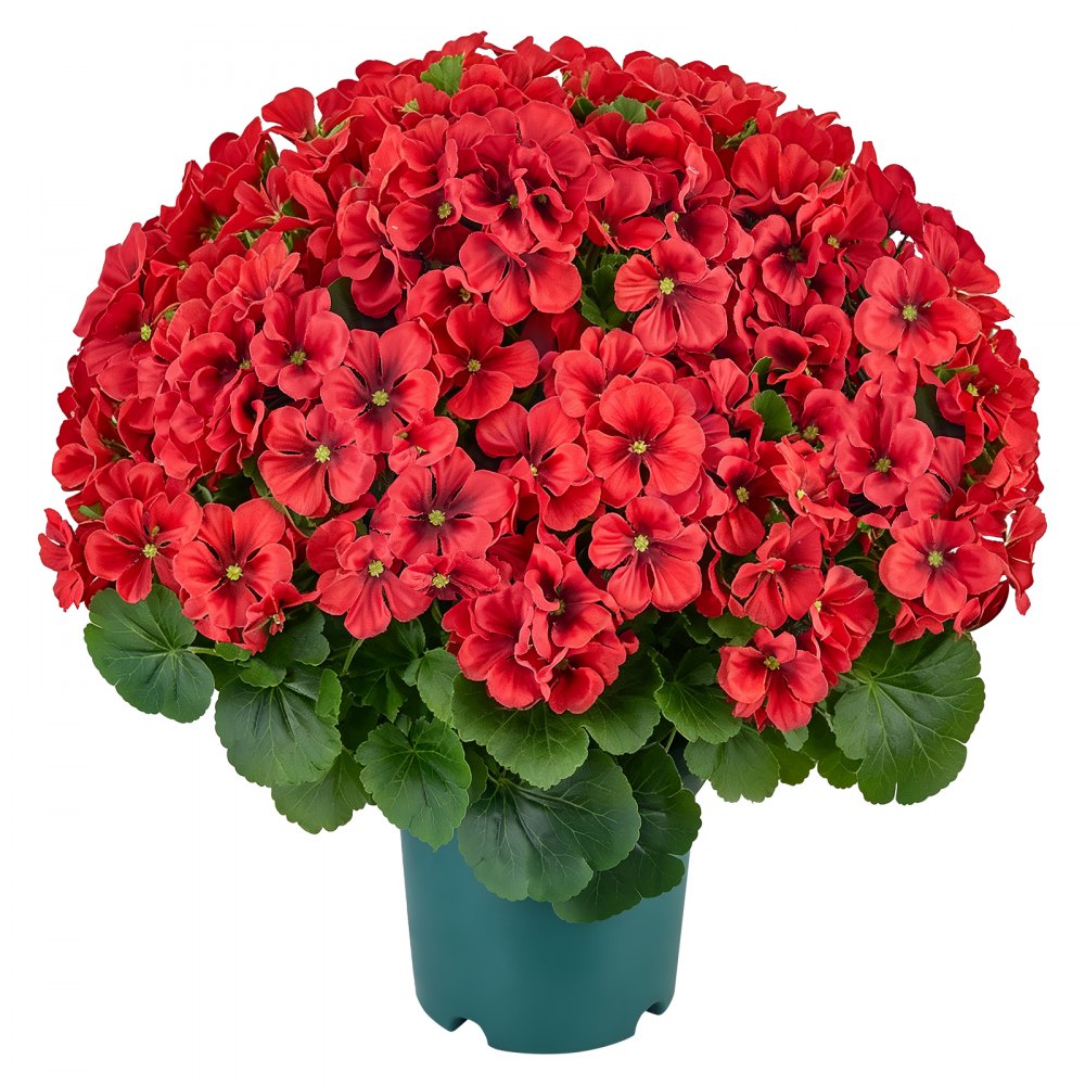 VEVOR Artificial Potted Geraniums 20 in 2-Pack Fake Flower Plants Decor Red, for Porch, Patio, Entryway, & Home Decor, Indoor & Outdoor Use, Silk and PE Blooms in Pots, Ready to Display Faux Plants