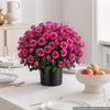 VEVOR Artificial Potted Flowers 18 in 2-Pack Fake Flower Plants Rose Red, for Porch, Patio, Entryway, & Home Decor, Indoor & Outdoor Use, Silk and PE Blooms in Pots, Ready to Display Faux Plants
