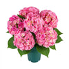VEVOR Artificial Potted Hydrangeas 28 in 2-Pack Fake Flower Plants Deep Pink, for Porch, Patio, Entryway, & Home Decor, Indoor & Outdoor Use, Silk and PE Blooms in Pots, Ready to Display Faux Plants