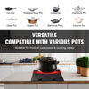 VEVOR Electric Cooktop, 12 inch 2 Burners Built-in Electric Stove Top, 1800W Ceramic Top Radiant Cooktop, with Glass Panel, Knob Control, 11 Heat Levels, 120V, for Diverse Cooking Requirements