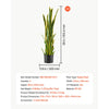VEVOR Artificial Snake Plant, 3FT 2 PCS in Fake Snake Plants with White Pot, for Home, Garden, Office, Porch, Indoor & Outdoor Decor, Realistic Texture Faux Sansevieria, Premium HDPE, Sun-Resistant