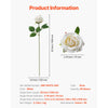 VEVOR Artificial Flowers, 60 pcs Real Looking White Foam Fake Roses Bulk, White Faux Bridal Shower with Stems for DIY Wedding Bouquets, Home Centerpieces Arrangements, Party Tables Decorations