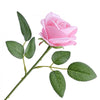VEVOR Artificial Flowers Bulk Pink Roses 60 PCS Silk Faux Flowers Stems, for Vase, Table Centerpieces, Weddings, Parties, Bouquets, Home Decor and DIY Floral Arrangements, Realistic Fake Flower