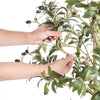 VEVOR Artificial Olive Tree, 5 FT Tall Faux Plant, Secure PE Material & Anti-Tip Tilt Protection Low-Maintenance Plant, Lifelike Green Fake Potted Tree for Home Office Warehouse Decor Indoor Outdoor