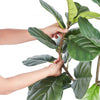 VEVOR Artificial Fiddle Leaf Fig Tree, 5 FT, Secure PE Material & Anti-Tip Tilt Protection Low-Maintenance Faux Plant, Lifelike Green Fake Potted Tree for Home Office Warehouse Decor Indoor Outdoor