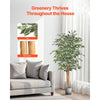 VEVOR 5FT Artificial Ficus Tree with Black Pot, Tall Faux Ficus Plant with Natural Wood Trunk and Realistic Green Leaves, Indoor Fake Silk Tree for Home, Office, Living Room, or Corner Décor
