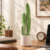 VEVOR Artificial Cactus, 24 in Tall Fake Cactus Plant with White Pot 1 Pack, for Home, Garden, Office, Living Room, Bedroom Indoor Decoration, Realistic Texture Large Faux Decor Plant, Premium HDPE