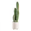 VEVOR Artificial Cactus, 24 in Tall Fake Cactus Plant with White Pot 1 Pack, for Home, Garden, Office, Living Room, Bedroom Indoor Decoration, Realistic Texture Large Faux Decor Plant, Premium HDPE
