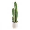 VEVOR Artificial Cactus, 24 in Tall Fake Cactus Plant with White Pot 1 Pack, for Home, Garden, Office, Living Room, Bedroom Indoor Decoration, Realistic Texture Large Faux Decor Plant, Premium HDPE