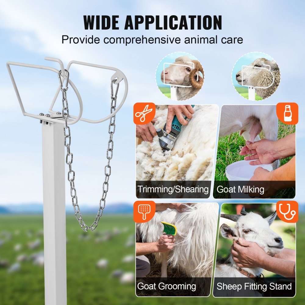 VEVOR Goat & Sheep Stand, 47x23 inch Livestock Stand, Metal Livestock Milking and Shearing Stand 21" to 33" Adjustable Height, with Headpiece and Nose Loop, 500lbs Loading Weight, White