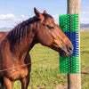 VEVOR Livestock Scratching Brush, 2PCS Goat Scratcher Brush Post with 8 Screws, 16.9" x 7.5" Cow Scratcher for Back Itch Relief, Massage Grooming Scratch Tool for Horse Cattle Sheep Pig, Green & Blue