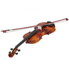 VEVOR Violin 4/4 Full Size for Adults, Violin Fiddle Set for Beginners Student with Hard Case,Rosin, Bow,Shoulder Rest,Bridge,Extra Strings,Professional Solidwood Instrument (Glossy Brown Patterned)