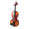 VEVOR Violin 4/4 Full Size for Adults, Violin Fiddle Set for Beginners Student with Hard Case,Rosin, Bow,Shoulder Rest,Bridge,Extra Strings,Professional Solidwood Instrument (Glossy Brown Patterned)