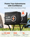 VEVOR 2 Pack 12V 100Ah LiFePO4 deep cycle battery set - image 1