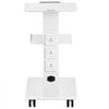 VEVOR Lab Trolley, Rolling Lab Cart with Built-in Socket, 3-Layer Metal Mobile Trolley, Tray Rolling Clinic Cart with Swivel Wheels, 220 lbs Weight Capacity, for Lab, Clinic, Beauty and Salon
